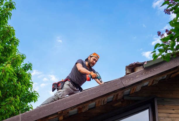 4 Ply Roofing in Zapata, TX